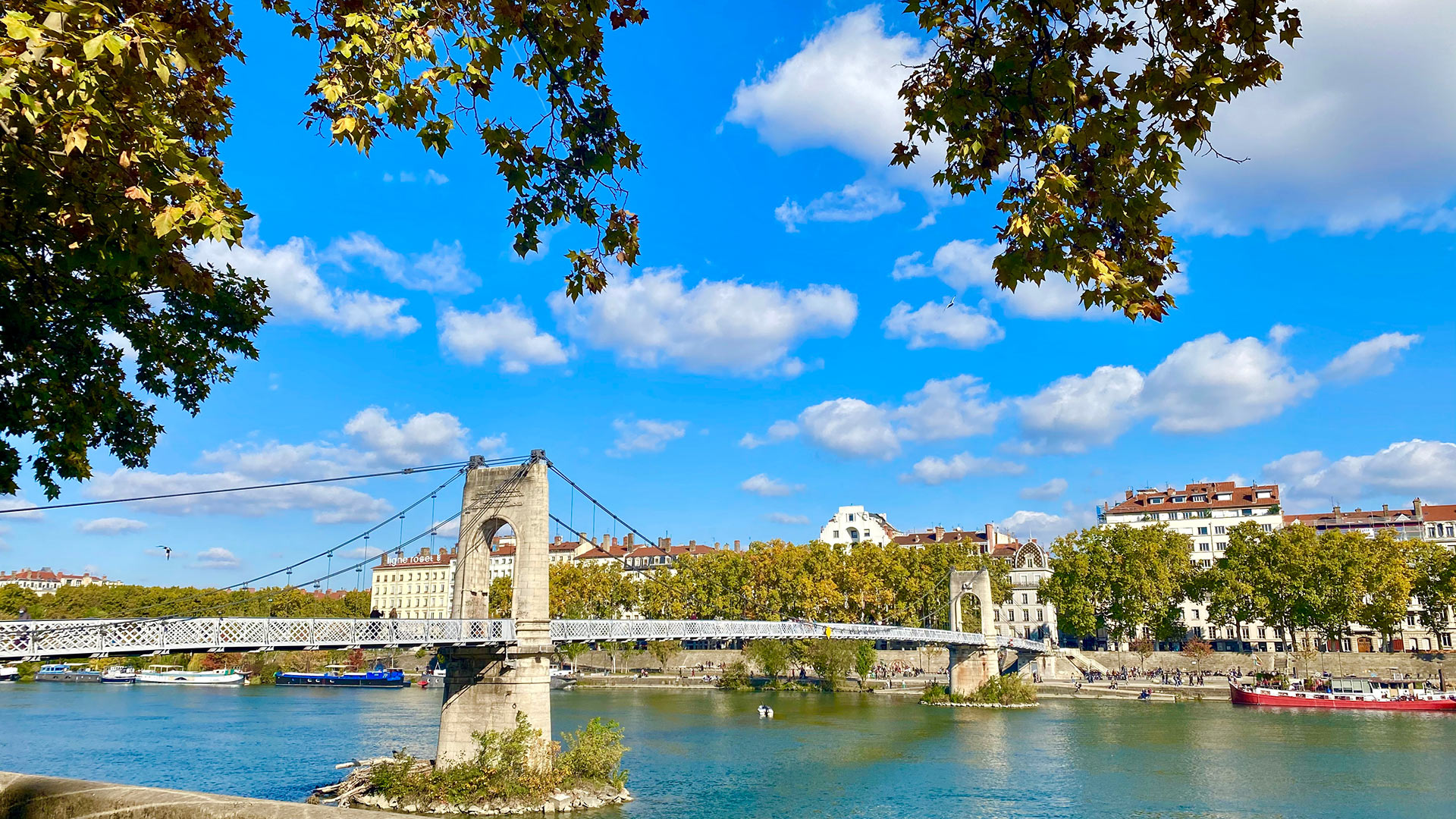 Passerelle du Collège sur le Rhône © Elena Ska / Shutterstock 1837488040