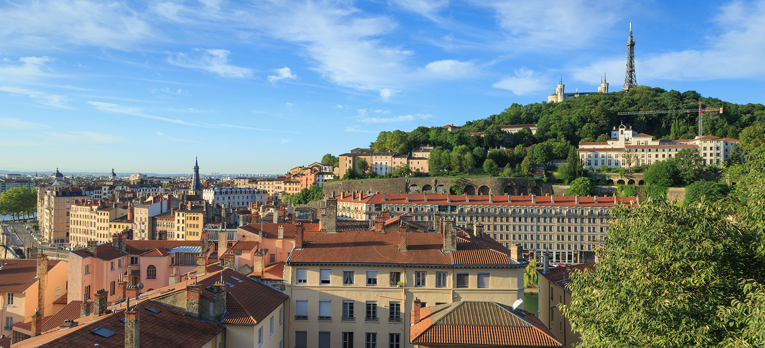 ©Sander-van-der-Werf / Shutterstock_692137444