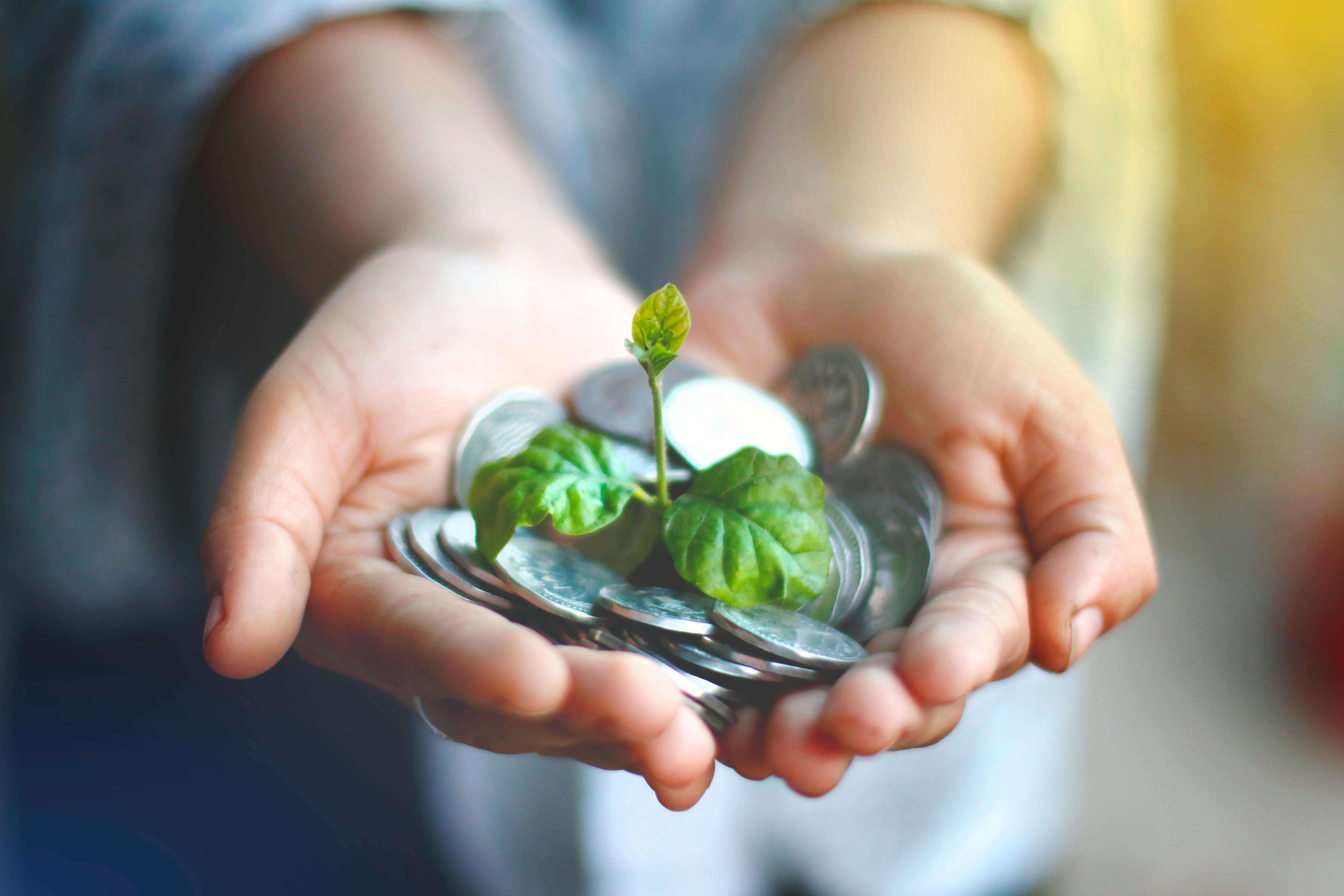 Photo de Akil  Mazumder/Pexels