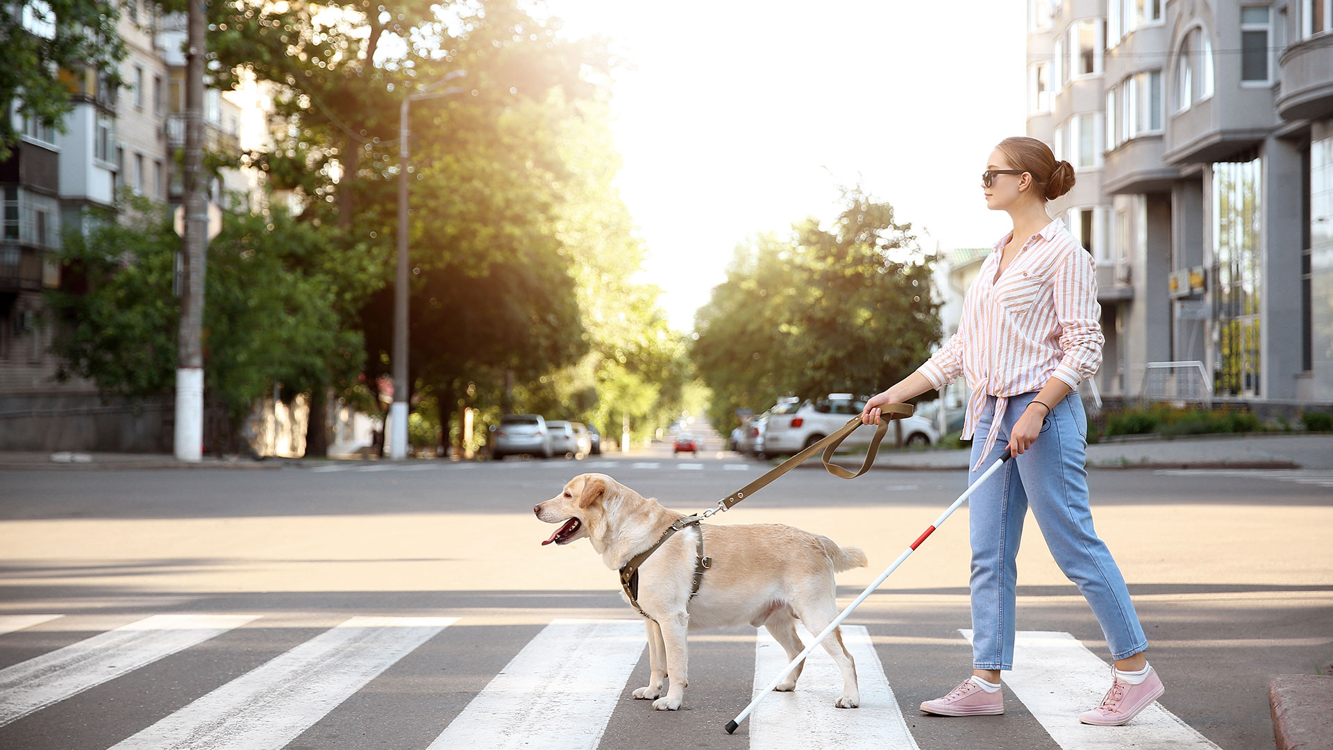 Femme non voyante avec son chien-guide © Pixel Shot / Shutterstock 1466396555