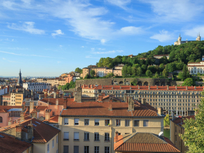 ©Sander-van-der-Werf / Shutterstock_692137444