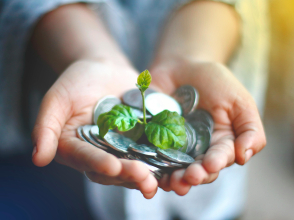 Photo de Akil  Mazumder/Pexels