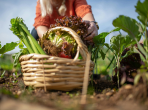 ©Kampus production/Pexels