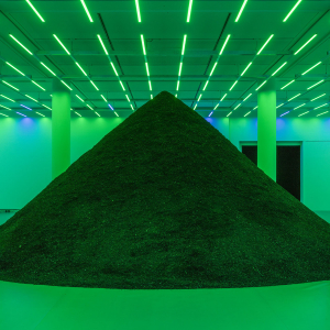 Biennale d'art contemporain - Pamela Rosenkranz, Anamazon (Into the Land), Louisiana Museum of Modern Art, Humblebaek, 2017 © Photo : Anders Sune Berg
